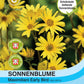 Eine Packung Thompson und Morgan | Sonnenblume maximiliani Early Bird Samen zeichnet sich durch leuchtend gelbe, schokoladenduftende Blüten, das Thompson & Morgan Logo, Direktsaat-Icons und deutschen Text zur mehrjährigen Sonnenblume aus.