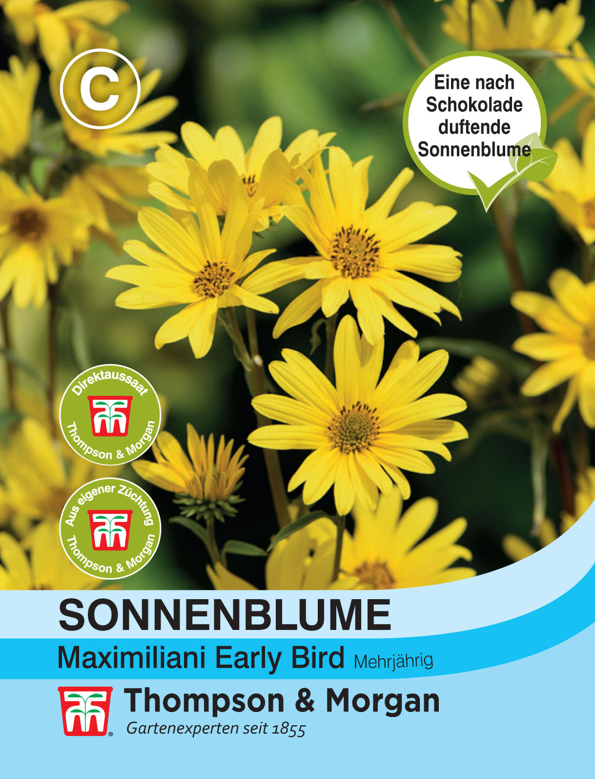 Eine Packung Thompson und Morgan | Sonnenblume maximiliani Early Bird Samen zeichnet sich durch leuchtend gelbe, schokoladenduftende Blüten, das Thompson & Morgan Logo, Direktsaat-Icons und deutschen Text zur mehrjährigen Sonnenblume aus.