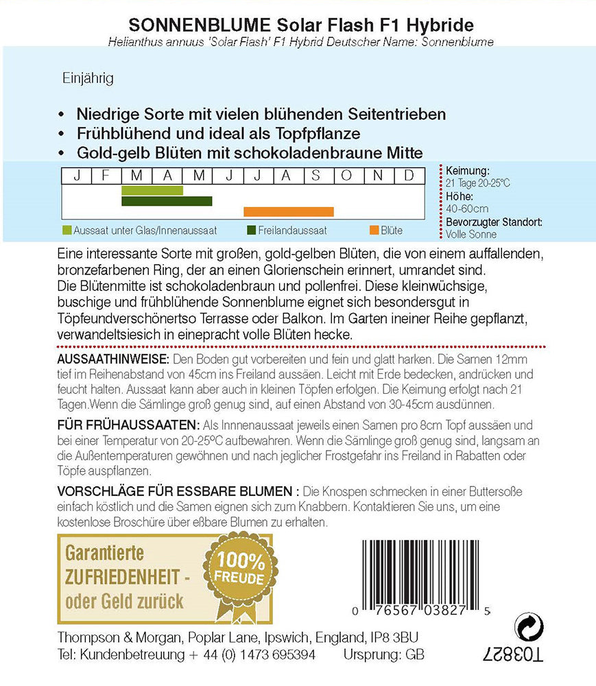Sonnenblume Solar Flash F1 Hybride - Königliche Gartenakademie
