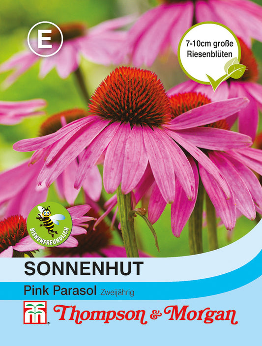 Nahaufnahme von Sonnenhut (Echinacea) Pink Parasol von Thompson und Morgan mit leuchtend rosa Blüten und orangefarbenen Zentren. Ideal als Schnittblume und zum Anlocken von Schmetterlingen.