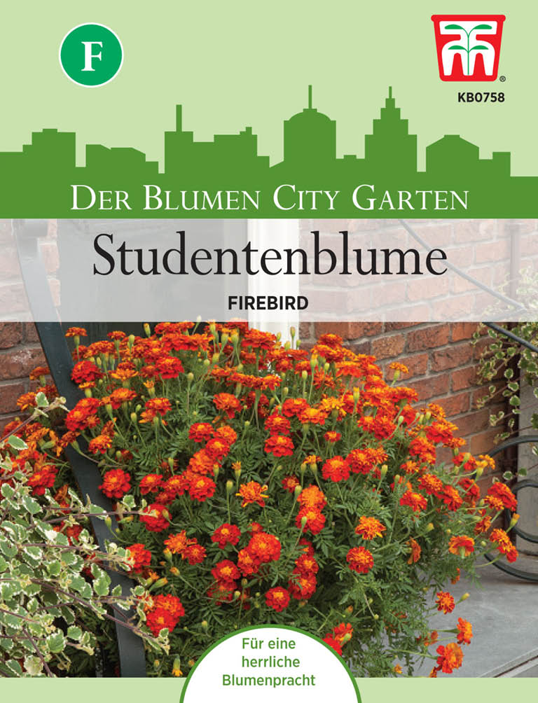 Tagetes Firebird - Königliche Gartenakademie