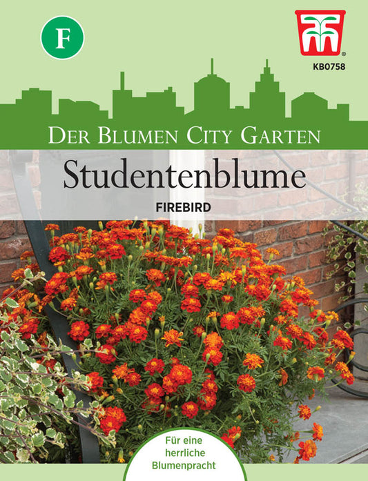 Tagetes Firebird - Königliche Gartenakademie