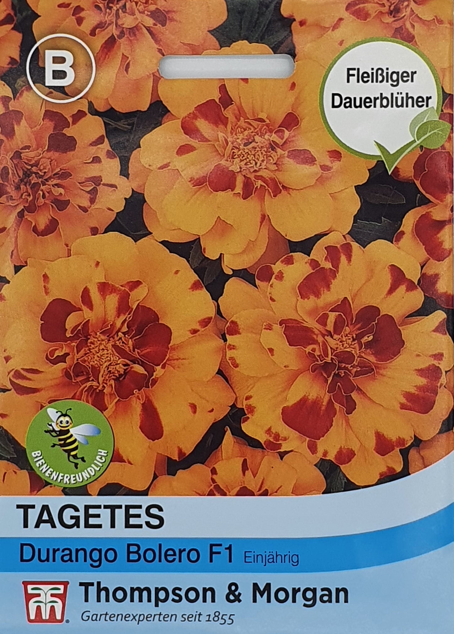 Tagetes (Studentenblume) Durango Bolero F1 - Königliche Gartenakademie