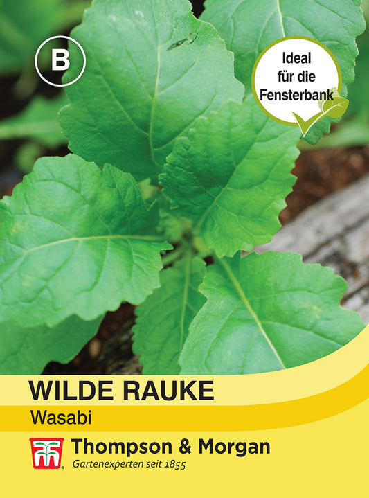 Wilde Rauke Wasabi - Königliche Gartenakademie