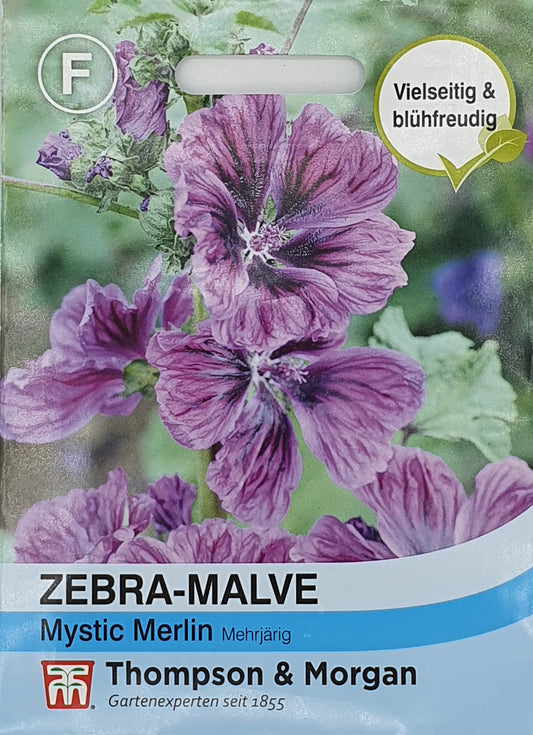 Zebra-Malve Mystic Merlin - Königliche Gartenakademie