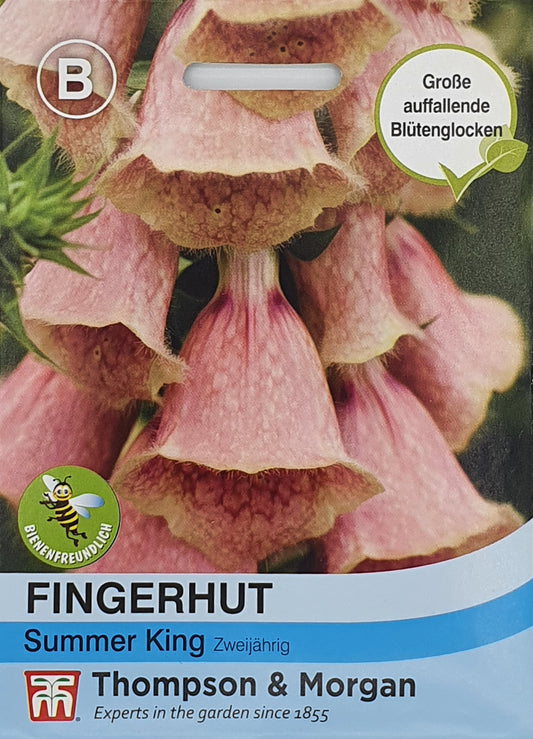 Fingerhut Summer King - Königliche Gartenakademie