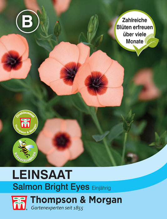 Leinsaat Salmon Bright Eyes - Königliche Gartenakademie