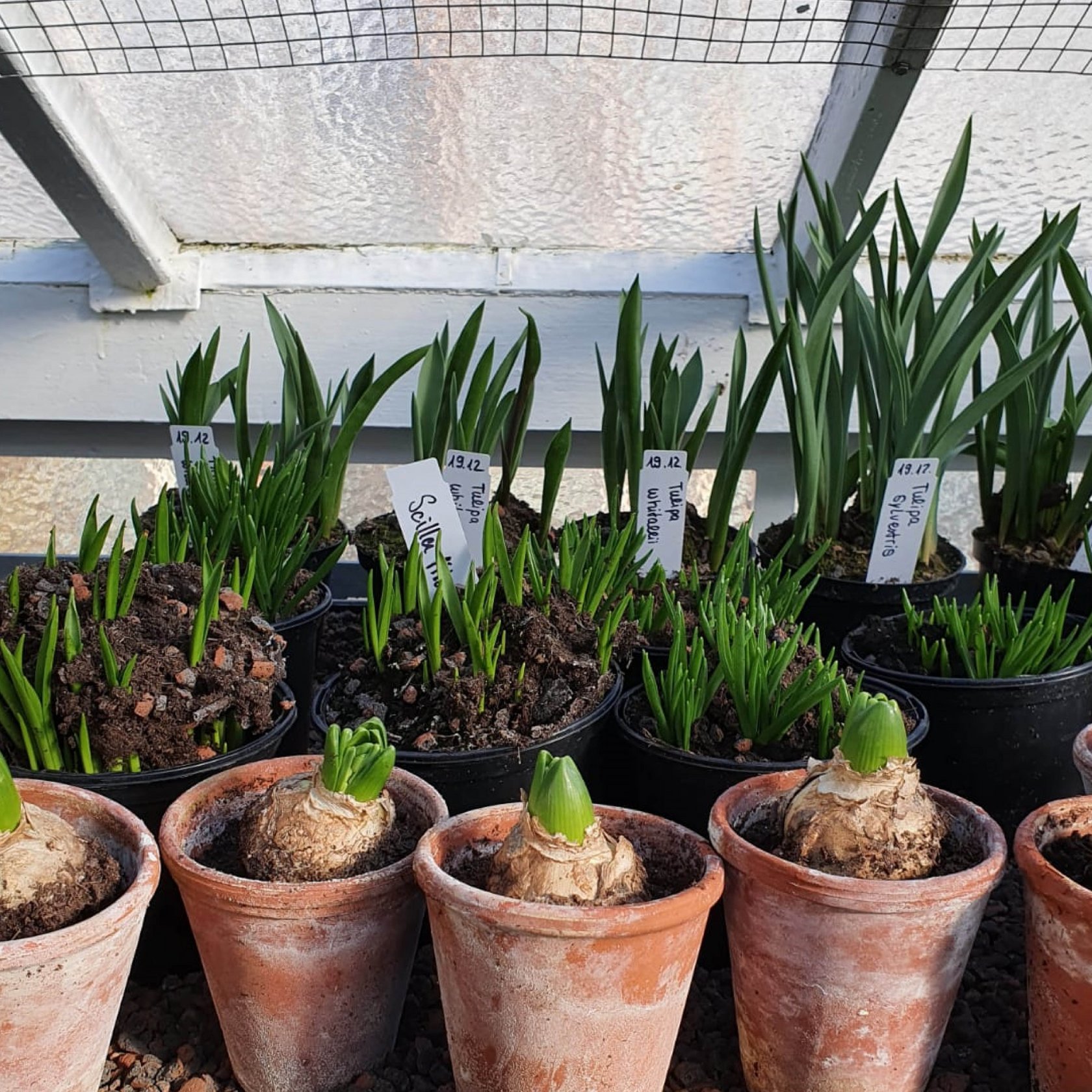 Startseite — Königliche Gartenakademie